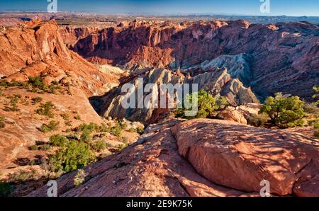 Upheaval Dome vom Crater View Trail aus gesehen, Island in the Sky District, Canyonlands National Park, Utah, USA Stockfoto