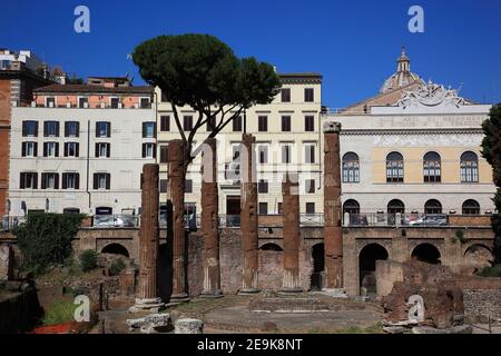 Largo di Torre Argentina, Largo Argentina, ein Platz im Stadtteil Pigna von Rom auf dem alten Campus von Martius, Italien / Largo di Torre Argentina Stockfoto
