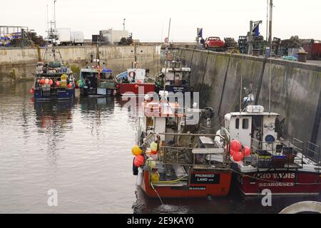 Fischereihafen von Seahouses in Northumberland, England Stockfoto