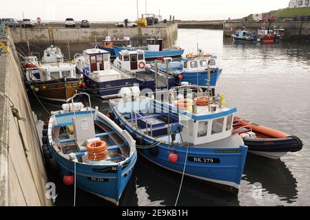 Fischereihafen von Seahouses in Northumberland, England Stockfoto