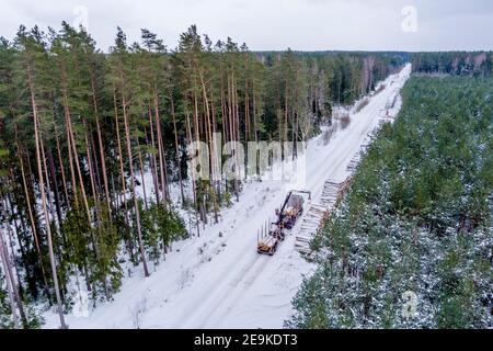 Kran in Kiefernwald Verladung Logs in den LKW für Transport Stockfoto