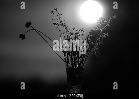 Ein Blumenstrauß im Gegenlicht auf der Straße Im Sommer Stockfoto