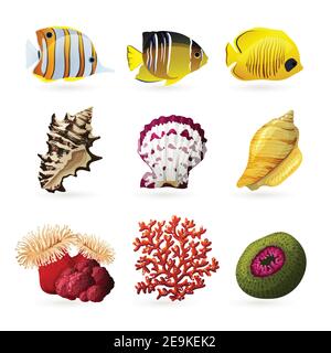 Meerfauna dekorative farbige Ikonen mit Fischen Muscheln und gesetzt Corallen isoliert Vektor-Illustration Stock Vektor