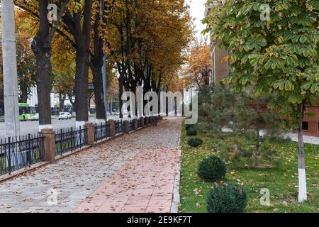 Taschkent, Usbekistan - 3. November 2019: Amir Temur Avenue in Taschkent. Stockfoto