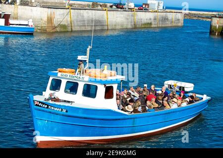 Bootsausflug nach Farne Island Northumberland Leute auf Urlaub, die das Vogelschutzgebiet der Insel besuchen, Hafenmauern, Betonmauern, glückliche Nachrichten, Bootsschiff Stockfoto