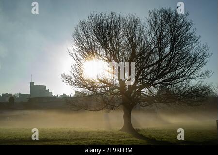 Eton, Windsor, Berkshire, Großbritannien. 5th. Februar 2021. Morgennebel auf dem Brocas in Eton mit Blick auf Windsor Castle. Sonnenschein ist für heute prognostiziert mit Regen und möglicherweise Schnee für das Wochenende. Quelle: Maureen McLean/Alamy Live News Stockfoto