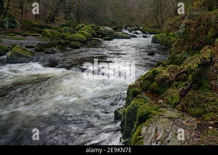 Der Ogwen-Fluss hat seine Hauptquelle im Ogwen-See in Snowdonia, wird aber hier gesehen, wie er durch ein bewaldetes Tal in seinen unteren Ausläufen geht. Stockfoto