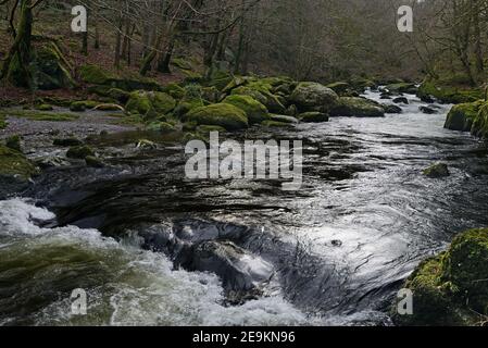 Der Ogwen-Fluss hat seine Hauptquelle im Ogwen-See in Snowdonia, wird aber hier gesehen, wie er durch ein bewaldetes Tal in seinen unteren Ausläufen geht. Stockfoto