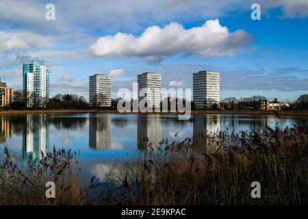 Woodberry Wetlands, Hackney, London, Großbritannien. Februar 2021, 5th. UK Wetter: Blauer Himmel über Woodberry Wetlands. Kredit: Matthew Chattle/Alamy Live Nachrichten Stockfoto