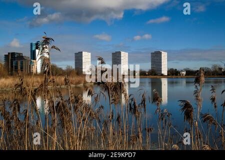 Woodberry Wetlands, Hackney, London, Großbritannien. Februar 2021, 5th. UK Wetter: Blauer Himmel über Woodberry Wetlands. Kredit: Matthew Chattle/Alamy Live Nachrichten Stockfoto