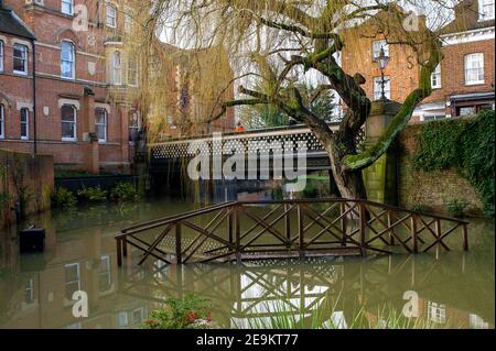 Eton, Windsor, Berkshire, Großbritannien. 5th. Februar 2021. Die Barnes Pool Gärten unter der Barnes Pool Bridge sind überflutet. Auf der Themse auf der Strecke Windsor & Eton in Berkshire bleibt ein Hochwasser-Warnhinweis nach einer Ansammlung von Starkregen in den letzten Tagen. Die Flutlinderung des Jubliee-Flusses ist in Betrieb und nimmt überschüssiges Flutwasser aus der Themse auf und schützt Häuser vor Überschwemmungen. Quelle: Maureen McLean/Alamy Live News Stockfoto