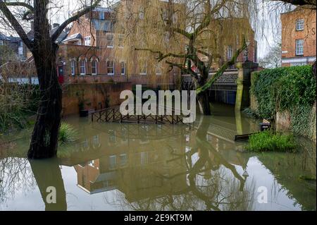 Eton, Windsor, Berkshire, Großbritannien. 5th. Februar 2021. Die Barnes Pool Gärten unter der Barnes Pool Bridge sind überflutet. Auf der Themse auf der Strecke Windsor & Eton in Berkshire bleibt ein Hochwasser-Warnhinweis nach einer Ansammlung von Starkregen in den letzten Tagen. Die Flutlinderung des Jubliee-Flusses ist in Betrieb und nimmt überschüssiges Flutwasser aus der Themse auf und schützt Häuser vor Überschwemmungen. Quelle: Maureen McLean/Alamy Live News Stockfoto