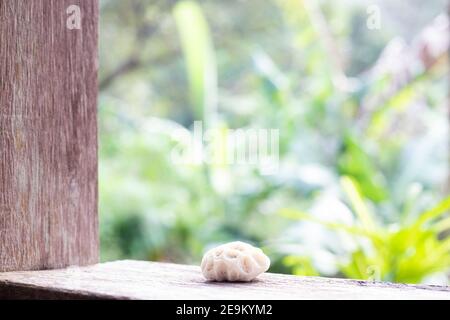Versteinerte Koralle liegt auf einem Holzfenster, Blick vom Fenster auf grüne Jongleure, verschwommener Hintergrund Stockfoto