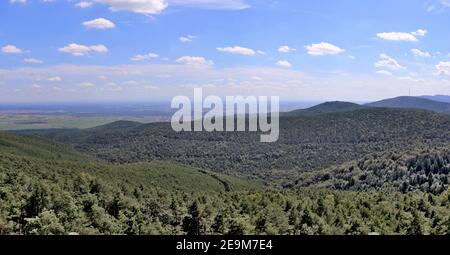 Blick vom Eckkopfturm bei Bad Dürkheim über den Pfälzer Wald Stockfoto
