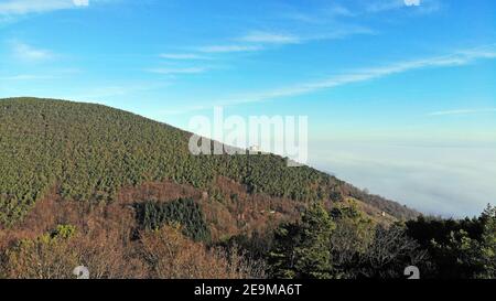 Pfälzer Wald mit dem Hambacher Schloss im Hintergrund (Deutschland) Stockfoto