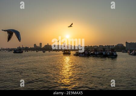 Möwen und Boote im Hafen von Mumbai in der Nähe von Gateway Indien Stockfoto