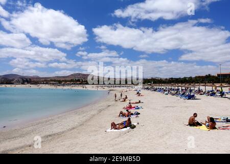 Der Sandstrand von Playa del Castillo in Caleta de Fuste in Fueteventura, Spanien Stockfoto