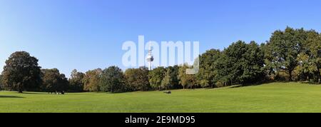 Die große Wiese im Luisenpark Mannheim (Deutschland), im Hintergrund sieht man den Fernmeldeturm Stockfoto