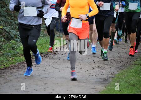 Athleten laufen Waldmarathon Stockfoto