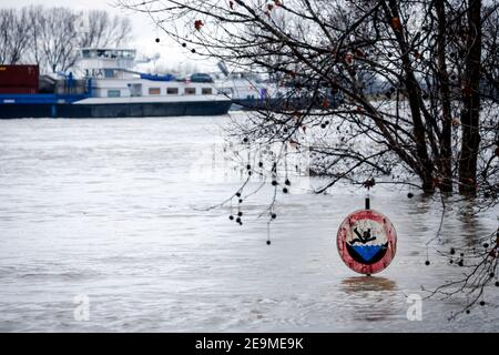 Duisburg, Nordrhein-Westfalen, Deutschland - Hochwasser am Rhein, Bäume stehen am Deich im Landkreis Marxloh unter Wasser, Rheinschifffahrt hat keine Stockfoto