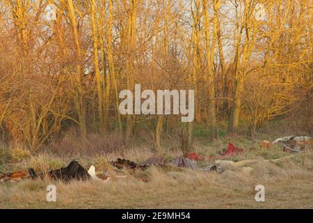 Bakonykoppany, Ungarn - 03. Febr. 2021: Eine illegale Mülldeponie in der Natur an der Seite des Dorfes Bakonykoppany in Ungarn. Plastik und andere Abfälle Stockfoto