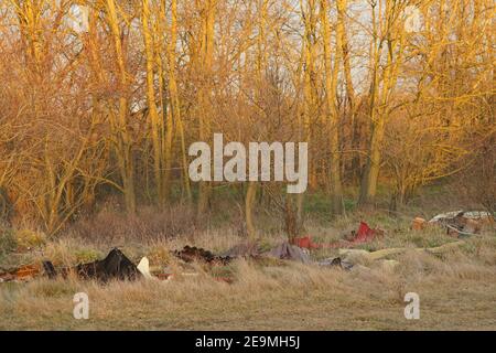 Bakonykoppany, Ungarn - 03. Febr. 2021: Eine illegale Mülldeponie in der Natur an der Seite des Dorfes Bakonykoppany in Ungarn. Plastik und andere Abfälle Stockfoto