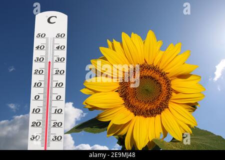 Symbolbild: Thermometer vor blauem Himmel zeigt warme Temperaturen Stockfoto