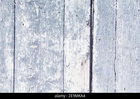 Helle Holzstruktur in Notruktur. Weiße verzweifelte Holztüre. Alte Holzkulisse. Stockfoto