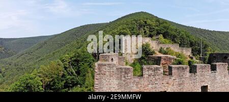 Burgruine Wolfsburg im Pfälzer Wald bei Neustadt an der Weinstraße (Rheinland-Pfalz) Stockfoto