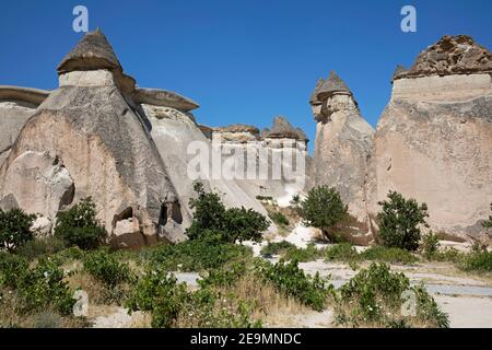 Feenkamine / Hoodoos im Göreme Nationalpark, Kappadokien, Provinz Nevşehir in Zentralanatolien, Türkei Stockfoto