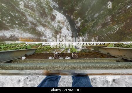 Blick hinunter von der High Steel Bridge, einst eine Holzfäller Eisenbahnbrücke und jetzt eine Straßenbrücke über den South Fork Skokomish River, Olympic National Fores Stockfoto