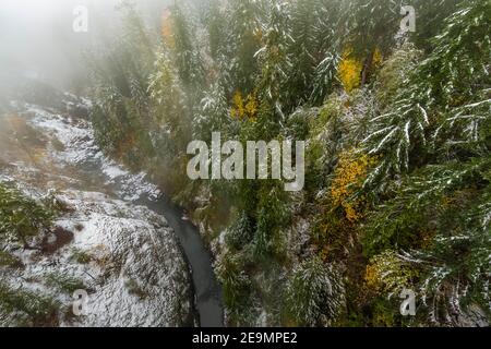 Blick hinunter von der High Steel Bridge, einst eine Holzfäller Eisenbahnbrücke und jetzt eine Straßenbrücke über den South Fork Skokomish River, Olympic National Fores Stockfoto