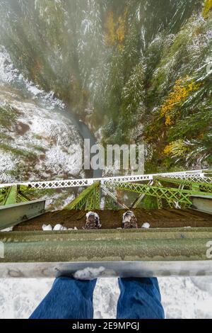 Blick hinunter von der High Steel Bridge, einst eine Holzfäller Eisenbahnbrücke und jetzt eine Straßenbrücke über den South Fork Skokomish River, Olympic National Fores Stockfoto