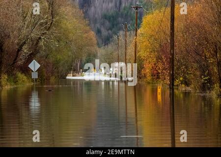 Straße durch Skokomish Valley, die jedes Jahr wegen der historischen Überschuss Clearcutting Überschwemmungen, Olympic Peninsula, Washington State, USA Stockfoto