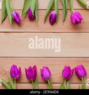 Quadratisches Bild von violetten Frühlingsblumen Blumen auf Holztisch. Blühende Frühling Lavendel-blaue Blütenblätter. Schöne violette Tulpen im Frühling. Tulpenblume Stockfoto