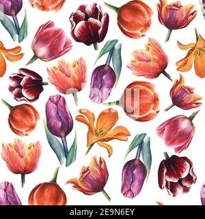 Aquarell nahtlose Blumenmuster mit Tulpen. Handbemaltes florales Ornament isoliert auf weißem Hintergrund Stockfoto