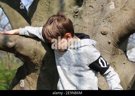 Sieben Jahre alter Junge klettert auf einen Baum (Modell veröffentlicht) Stockfoto