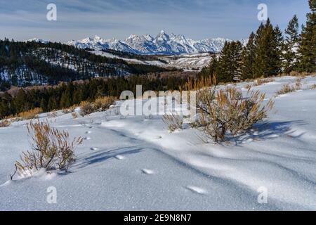 Blick auf schneebedeckte Grand Tetons im Winter mit Salbei Stockfoto