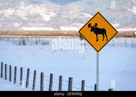 Moose Crossing Zeichen in Teton Valley Idaho Stockfoto