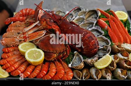 Nahaufnahme großer Platte mit kalten und rohen Meeresfrüchten zum Teilen, Hummer, Garnelen, Garnelen, Austern, Muscheln, Krabben und Langusten, Blick aus dem hohen Winkel Stockfoto