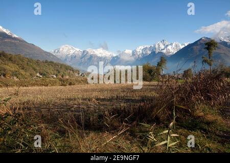 Herbstlandschaft der Felder nach der Ernte mit schneebedeckten Gipfeln der Alpen in Colico Stadt auf dem Weg zum Forte di Fuentes, Lombardei, Norditalien. Stockfoto