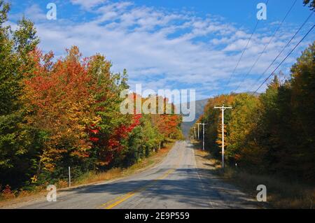 Base Station Road to Mount Washington Cog Railway mit Herbstlaub, White Mountain National Forest, New Hampshire NH, USA. Stockfoto