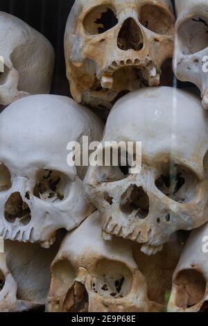 Die Schädel der Opfer der Roten Khmer sind im Choeung Ek Monument vor den Toren von Phnom Penh, Kambodscha, ausgestellt. Stockfoto