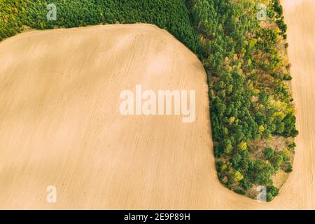 Luftaufnahme Der Landwirtschaftlichen Landschaft Mit Wachsenden Waldbäumen An Der Grenze Mit Feld. Schöne ländliche Landschaft in Vogelperspektive. Federfeld Stockfoto