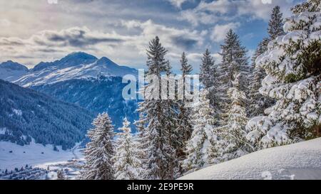 Ein schneebedeckter Berg mit einem schneebedeckten Wald bei Davos Stockfoto