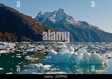 Fjord gefüllt mit kleinen Eisbergen in Südgrönland Stockfoto