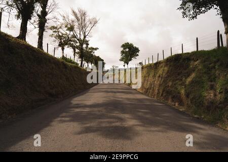 Straße mitten im Wald Stockfoto