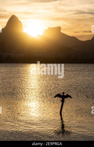 Schöner Sonnenuntergang Blick auf Lagune und Vogel mit offenen Flügeln auf dem Baumstamm, in Rio de Janeiro, Brasilien Stockfoto