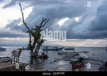 Bunaken Island, Taman National Bunaken, Manado Tua Island, Nord-Sulawesi, Indonesien Stockfoto