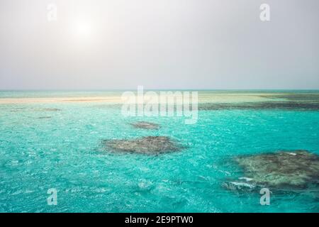 Rotes Meer Korallenriff die unterwasser Weiße Insel. Die Riffe in Ras Mohamed sind atemberaubend, mit einer reichen Vielfalt an Hart- und Weichkorallen, Sharm El Sheikh, E Stockfoto